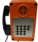 Preview: Industrie Wandtelefon IP66 und IK10